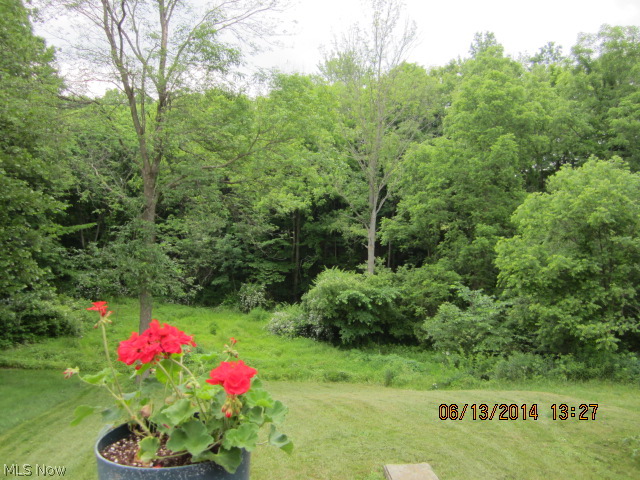 4399 Gault Road North Jackson, OH 44451 - Photo 7 of 15 Gallery Image 7