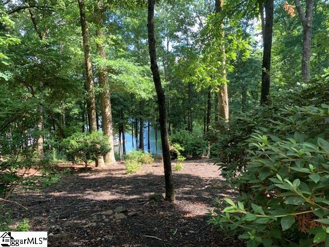 710 Seminole Point Road Fair Play, SC 29643 - Photo 28 of 35 Gallery Image 28