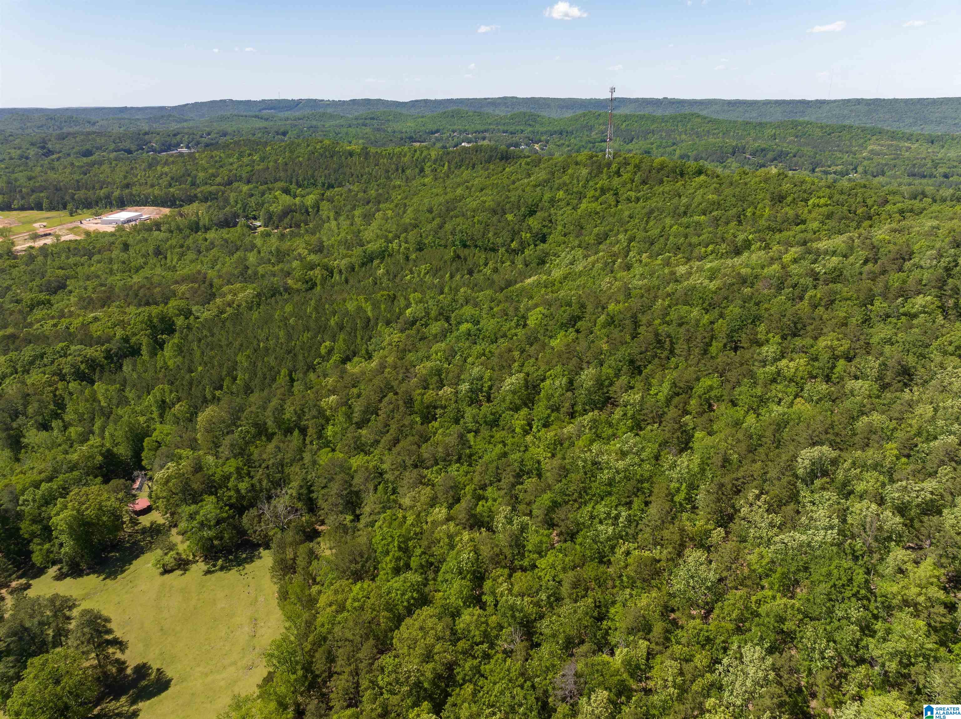1649 Highway 174 Springville, AL 35146 - Photo 3 of 8