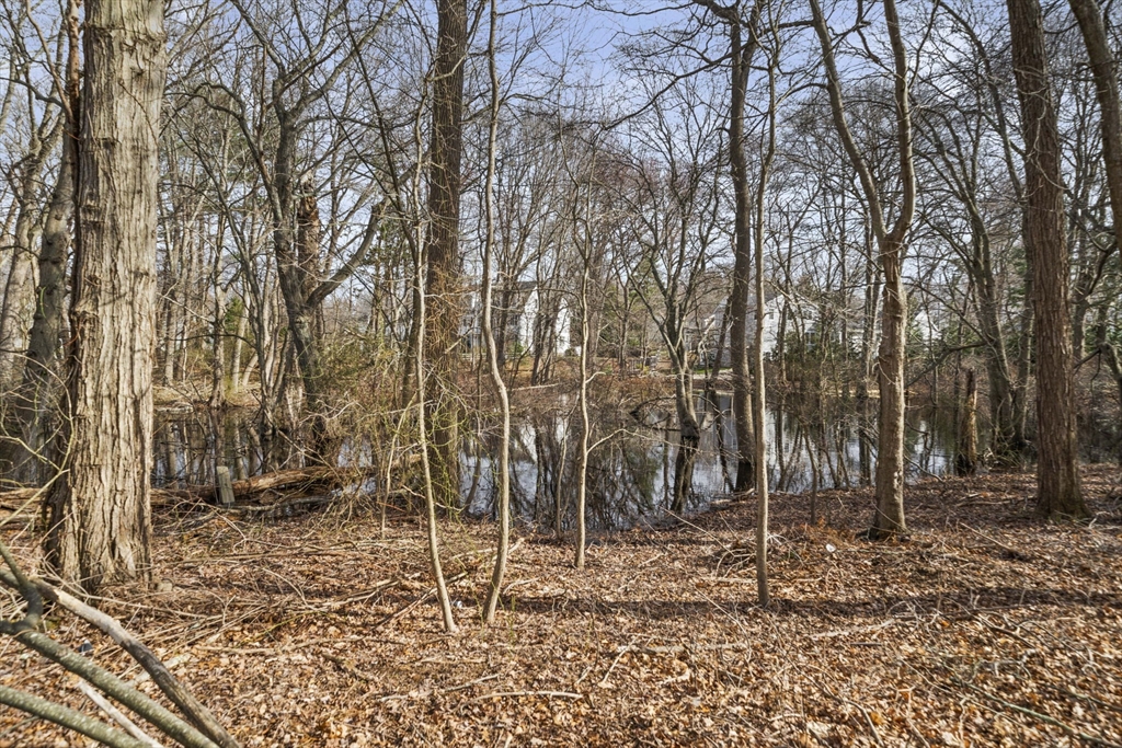 24 Butler Road Hingham, MA 02043 - Photo 21 of 38 a backyard of a house with lots of green space