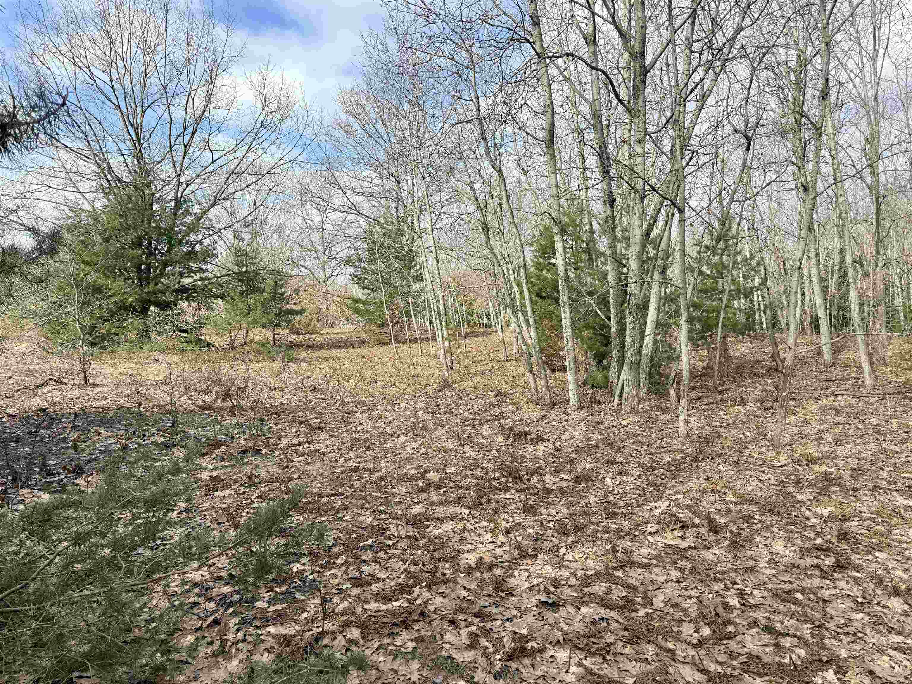0 East Sandy Lane Cedar, MI 49621 - Photo 13 of 20