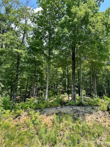 $175,000 | 4110 French Broad Parkway, Unit 55, Marshall, NC 28753