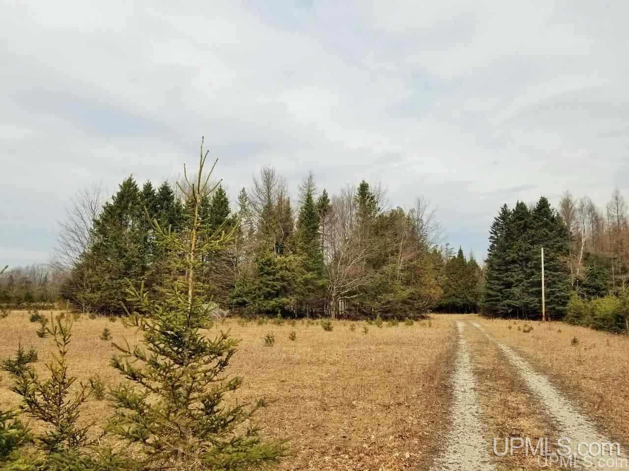 Tbd Stelzer Road Gulliver, MI 49840 - Photo 3 of 26