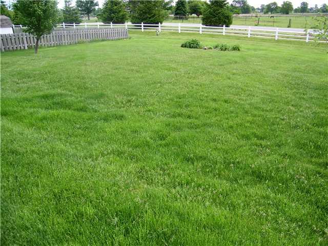 6947 Rutherford Drive Indianapolis, IN 46237 - Photo 18 of 18 Gallery Image 18