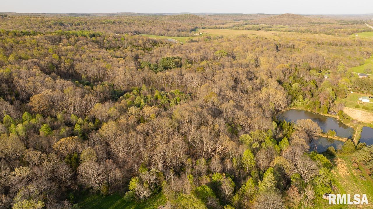 Undisclosed Address Simpson, IL 62985 - Photo 23 of 32