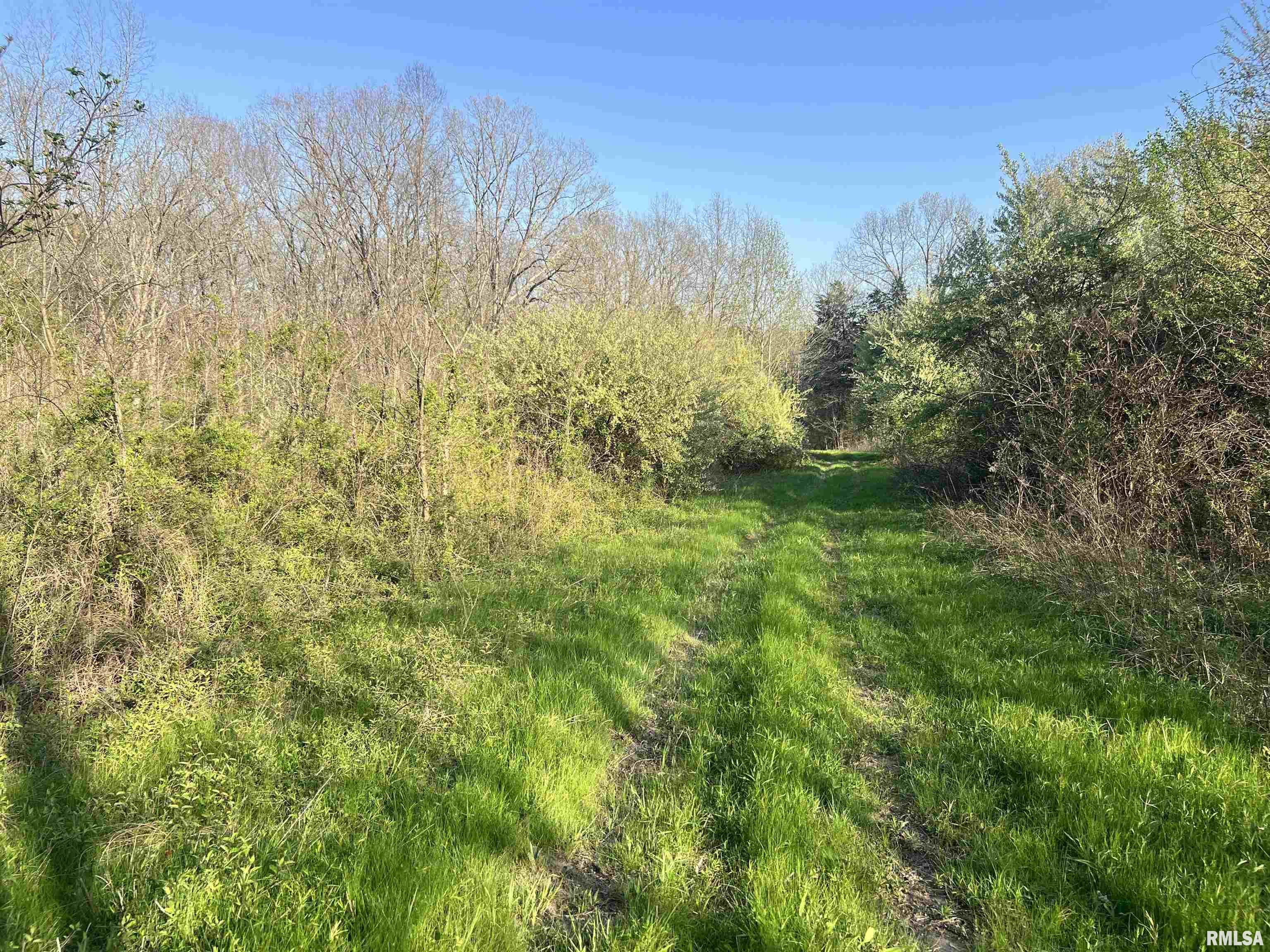 Undisclosed Address Simpson, IL 62985 - Photo 28 of 32