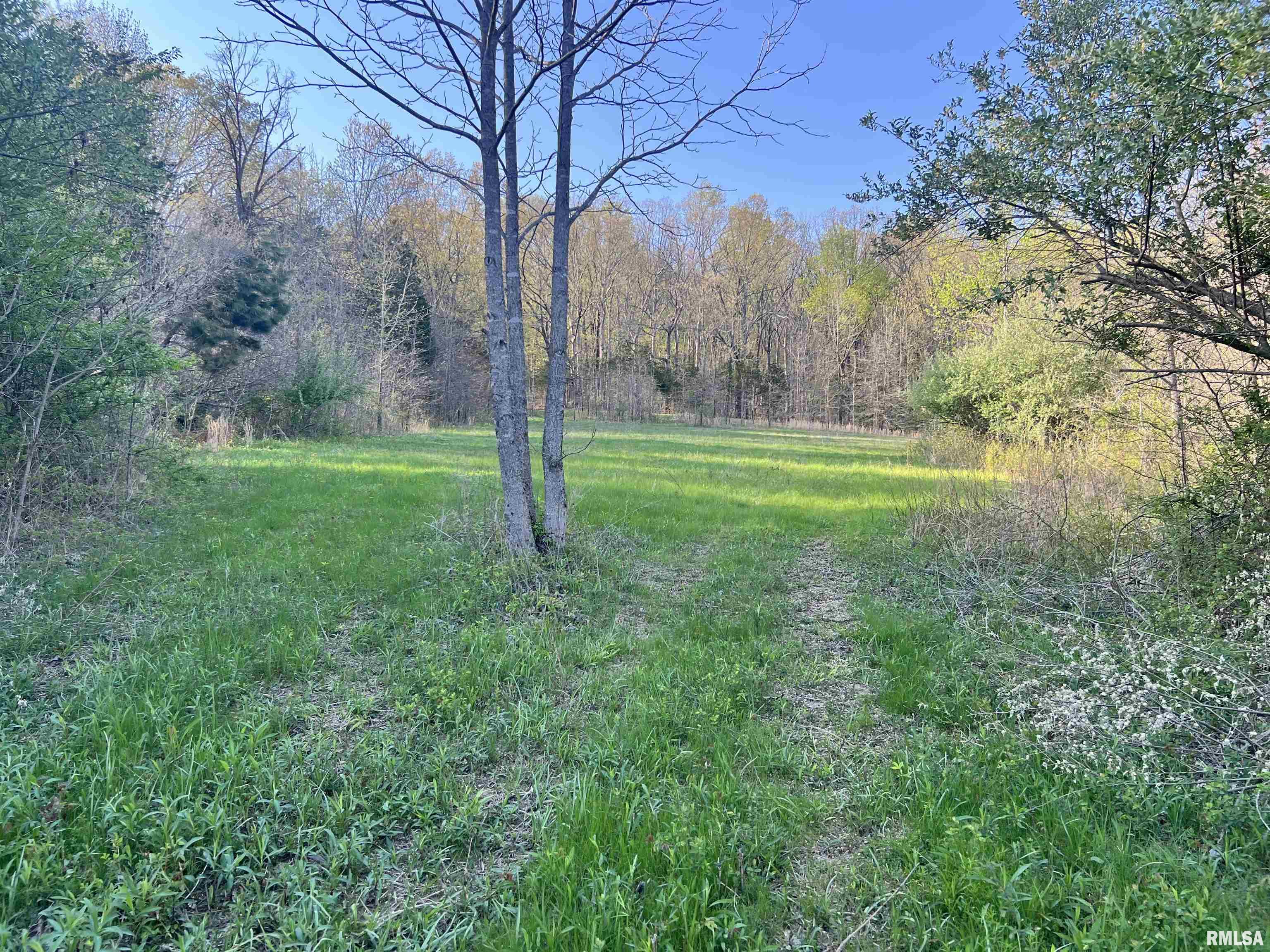 Undisclosed Address Simpson, IL 62985 - Photo 29 of 32