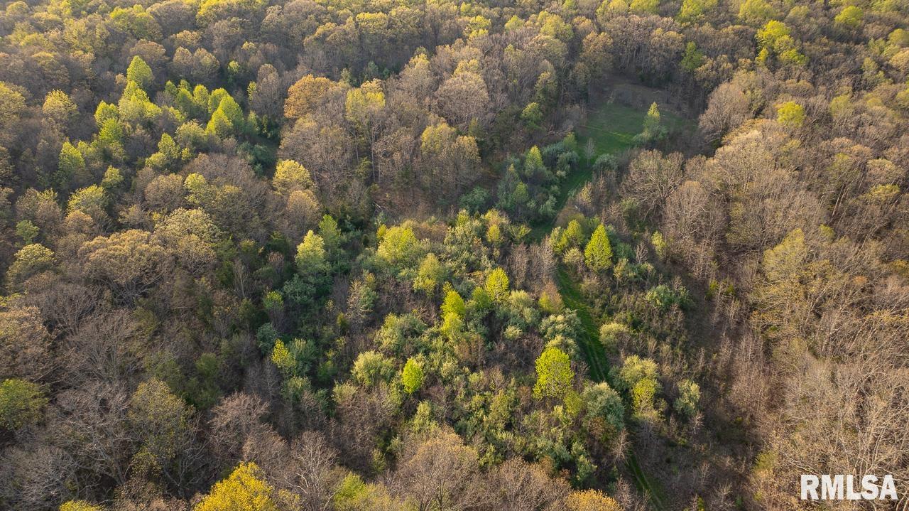 Undisclosed Address Simpson, IL 62985 - Photo 30 of 32