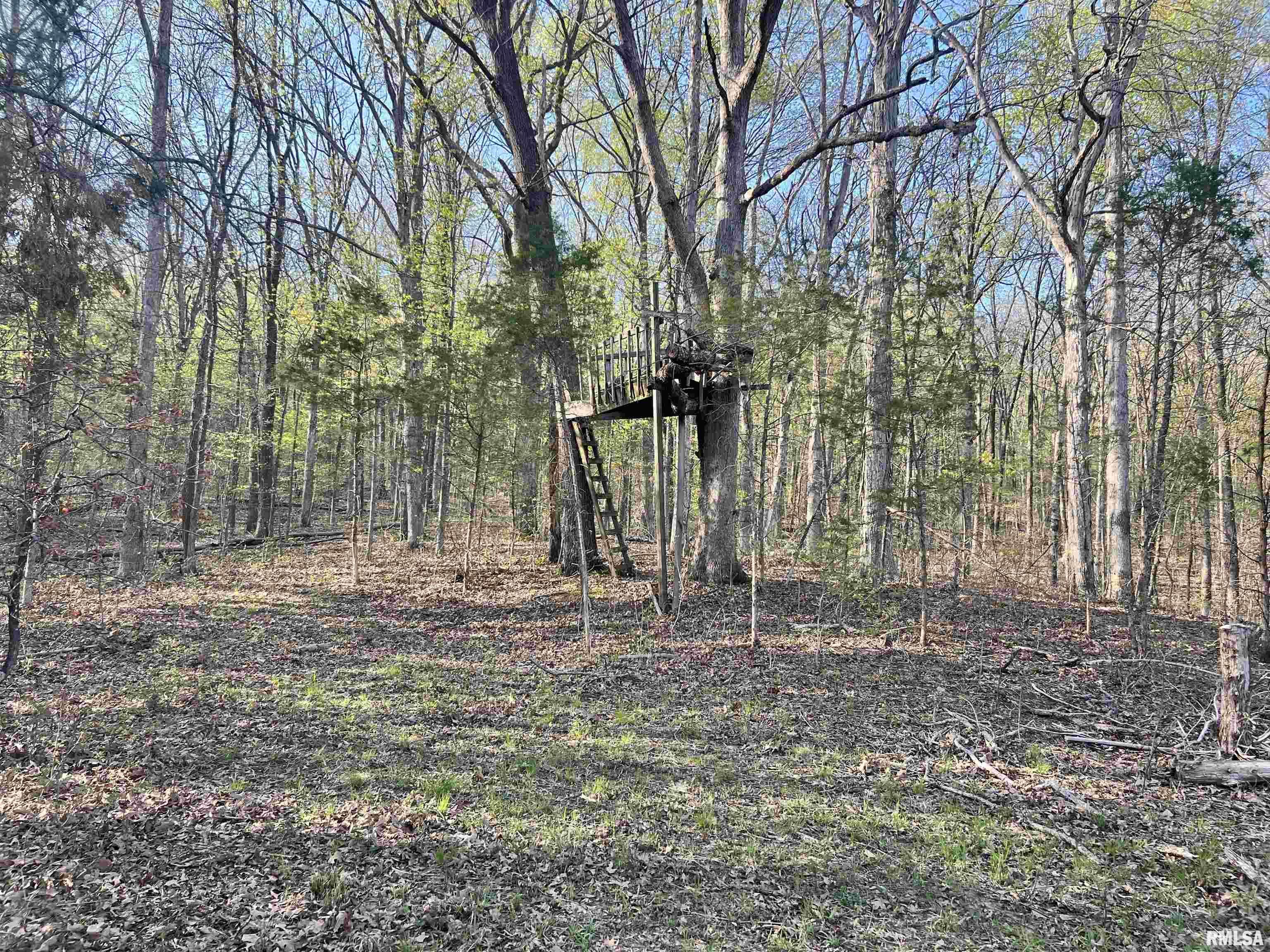 Undisclosed Address Simpson, IL 62985 - Photo 31 of 32