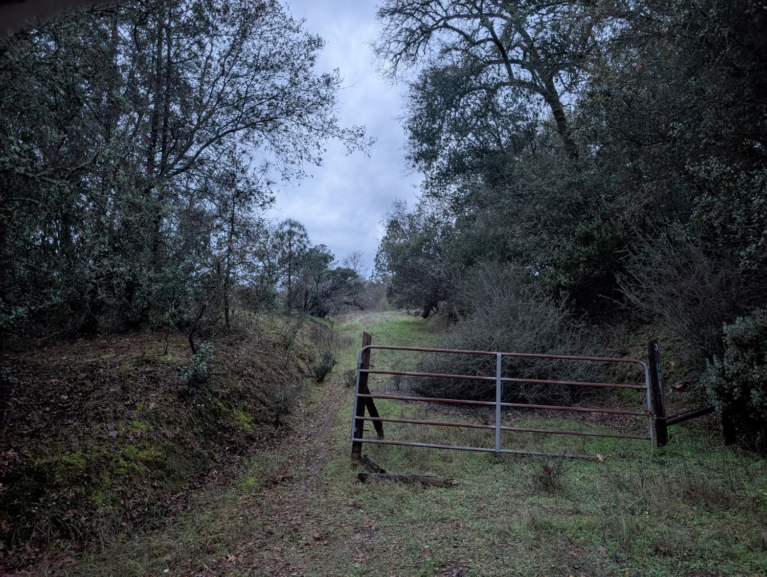 a view of a bench in a field