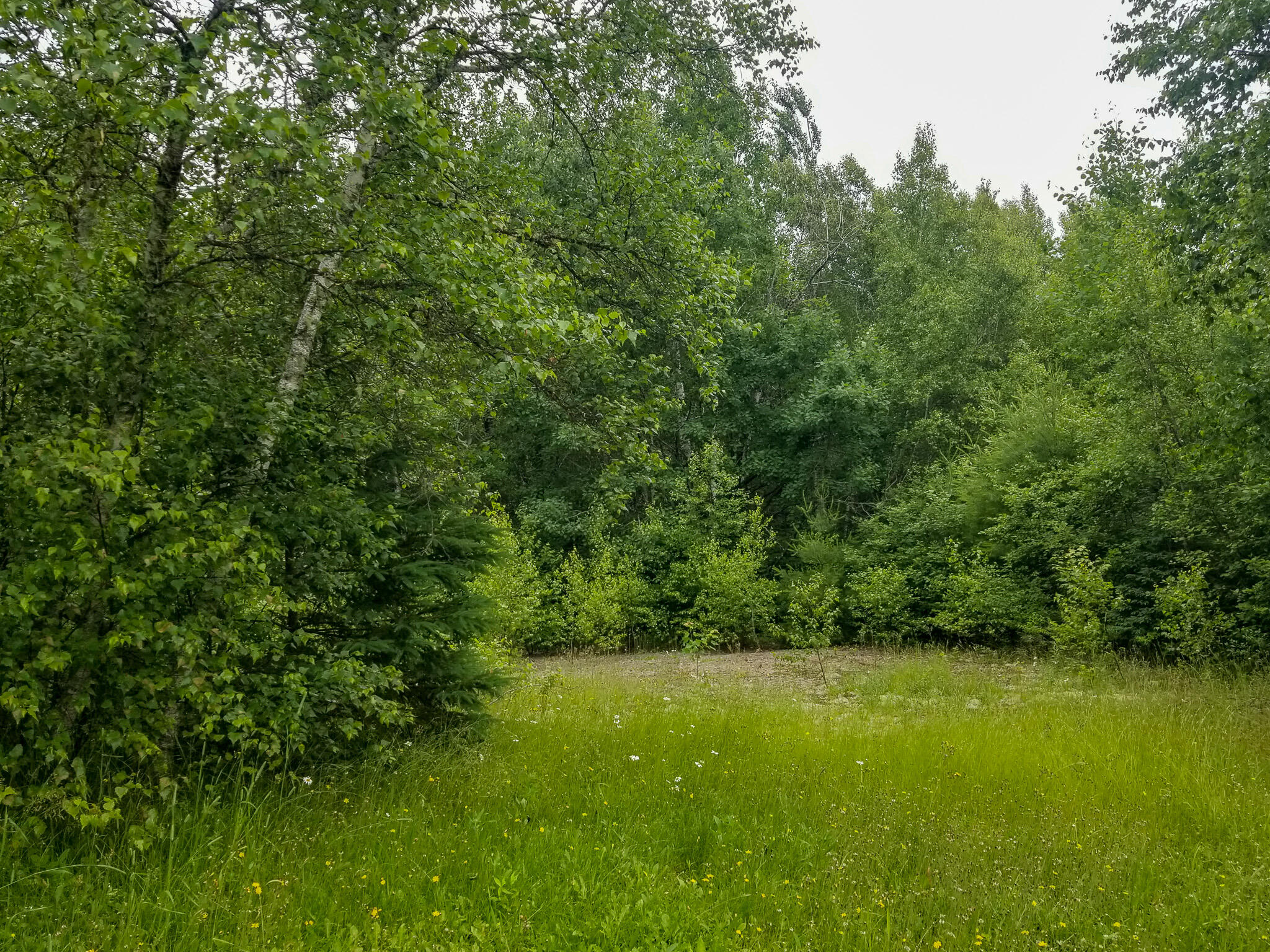 330 Pea Ridge Road Chester, ME 04457 - Photo 11 of 32 11