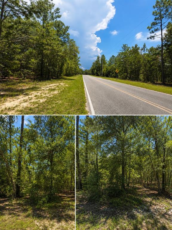 507 Baden Powell Road Hawthorne, FL 32640 - Photo 1 of 4 Gallery Image 1