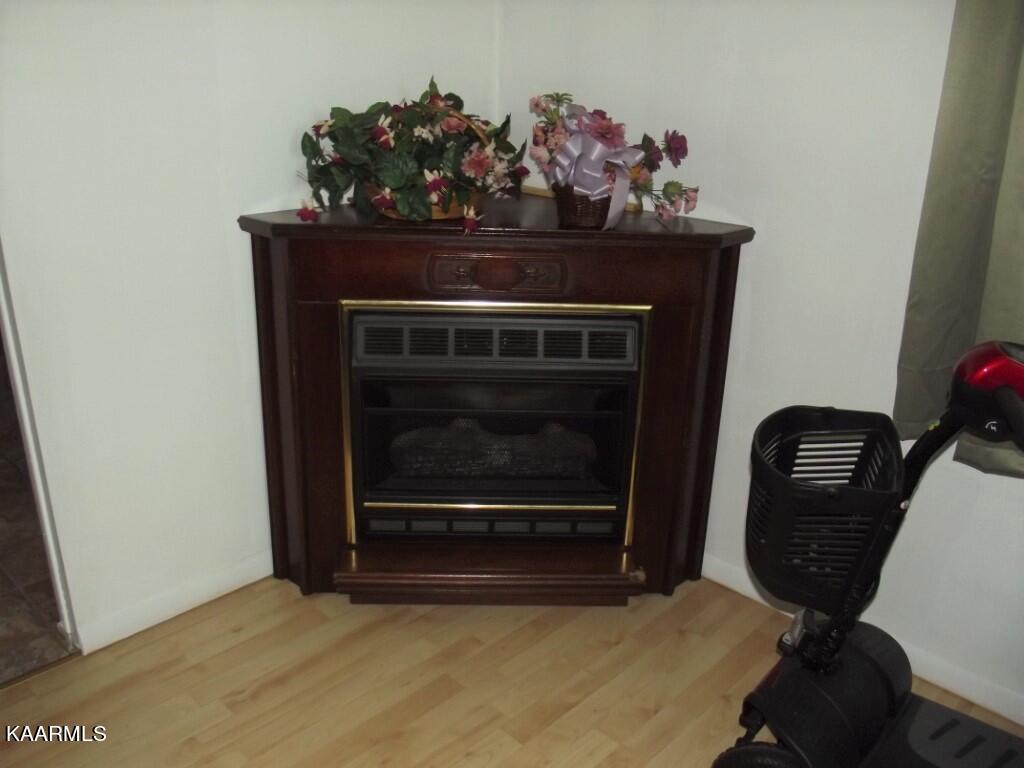 1368 Walt Reed Road Grandview, TN 37337 - Photo 24 of 59 FIREPLACE IN PRIMARY BEDROOM
