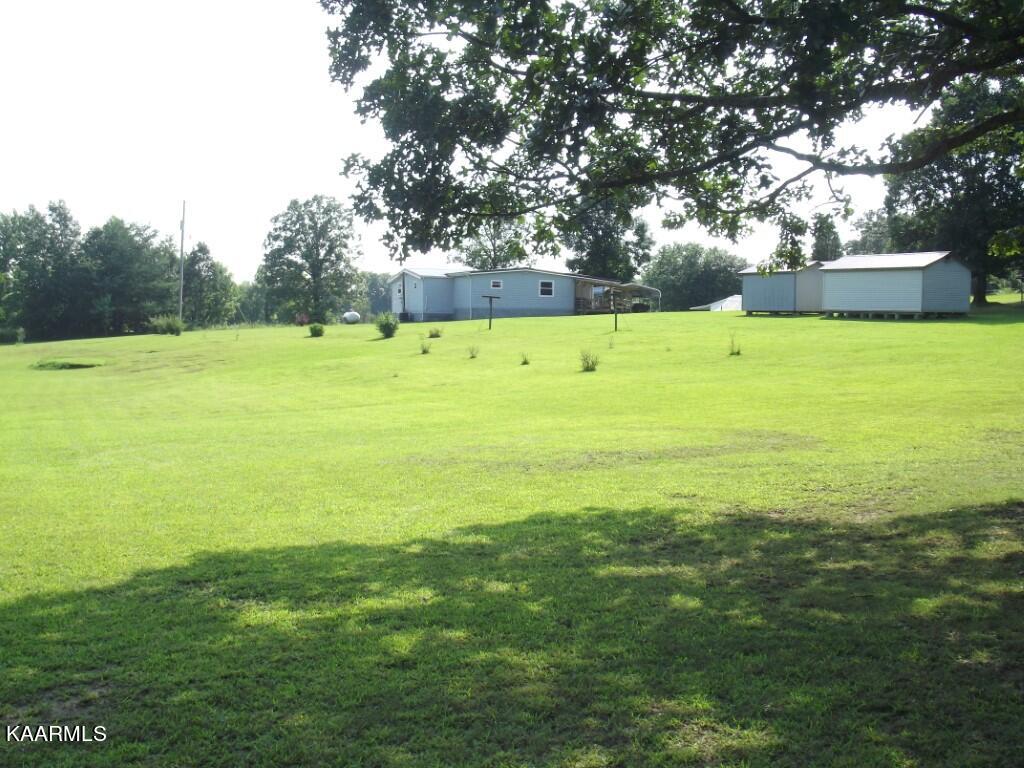 1368 Walt Reed Road Grandview, TN 37337 - Photo 37 of 59 VIEW FROM BACK OF PROPERTY