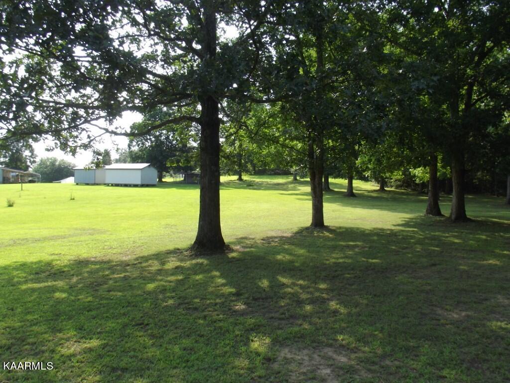 1368 Walt Reed Road Grandview, TN 37337 - Photo 39 of 59 PROPERTY