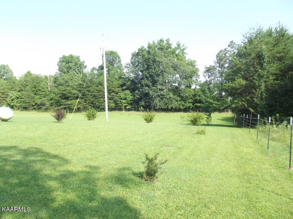 1368 Walt Reed Road Grandview, TN 37337 - Photo 4 of 59 PROPERTY