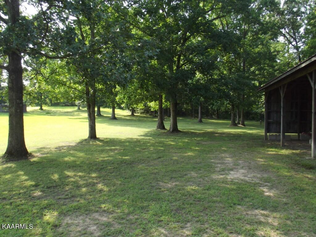 1368 Walt Reed Road Grandview, TN 37337 - Photo 44 of 59 PROPERTY