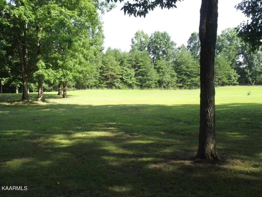 1368 Walt Reed Road Grandview, TN 37337 - Photo 45 of 59 PROPERTY