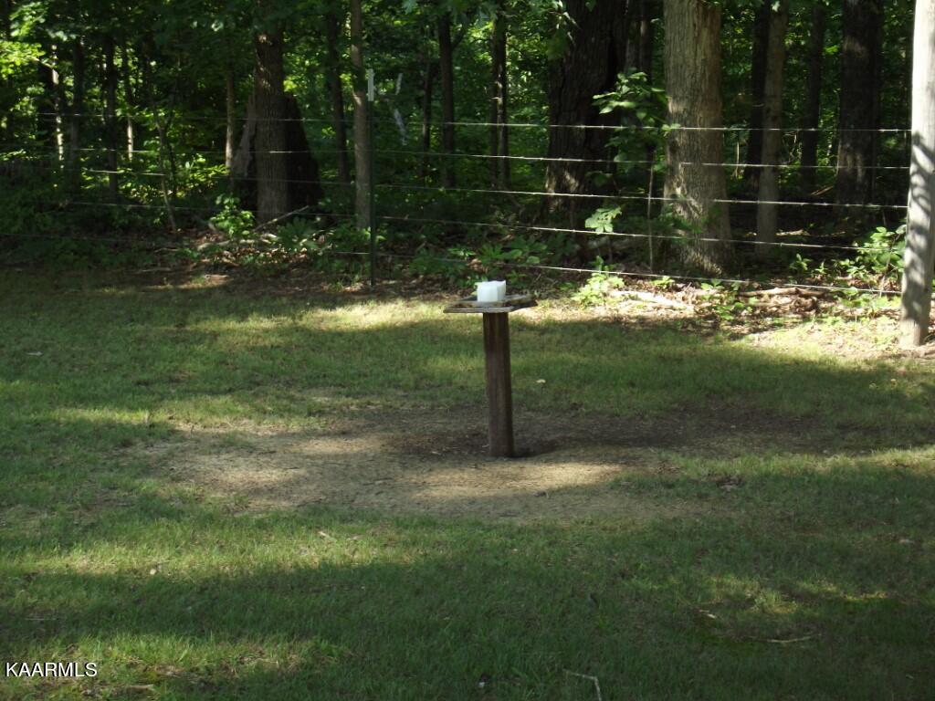 1368 Walt Reed Road Grandview, TN 37337 - Photo 46 of 59 SALT BLOCK ON PROPERTY
