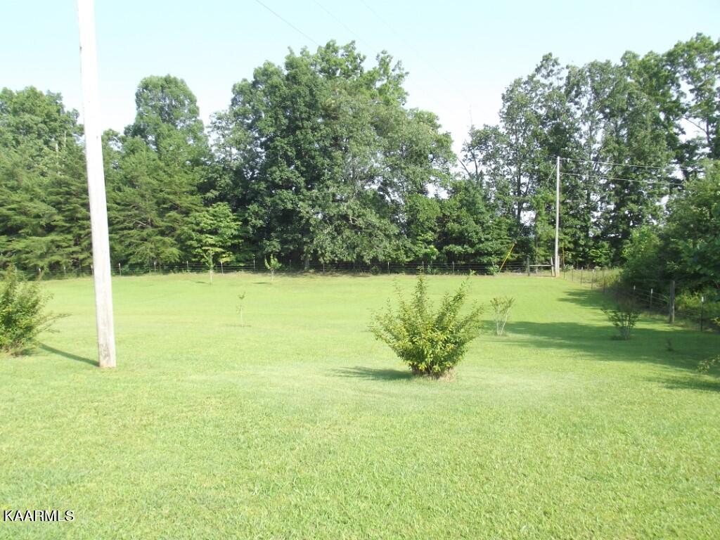 1368 Walt Reed Road Grandview, TN 37337 - Photo 54 of 59 PROPERTY