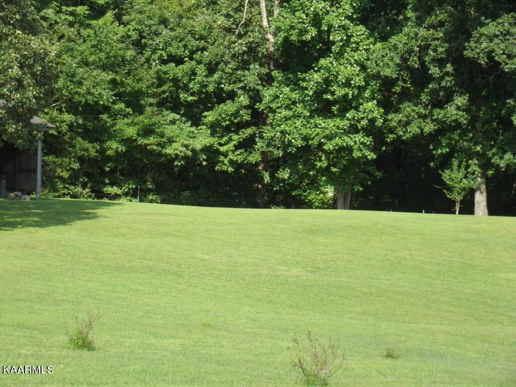 1368 Walt Reed Road Grandview, TN 37337 - Photo 55 of 59 PROPERTY