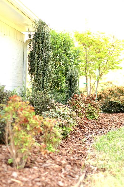 301 County Road Blossom, TX 75416 - Photo 6 of 19 Landscaped garden bed featuring diverse plantings, wood chip ground cover, and a manicured lawn border