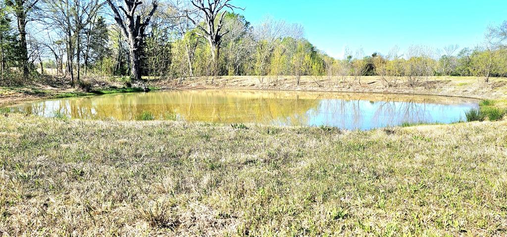 301 County Road Blossom, TX 75416 - Photo 7 of 19 Natural pond feature surrounded by grassy banks and mature trees