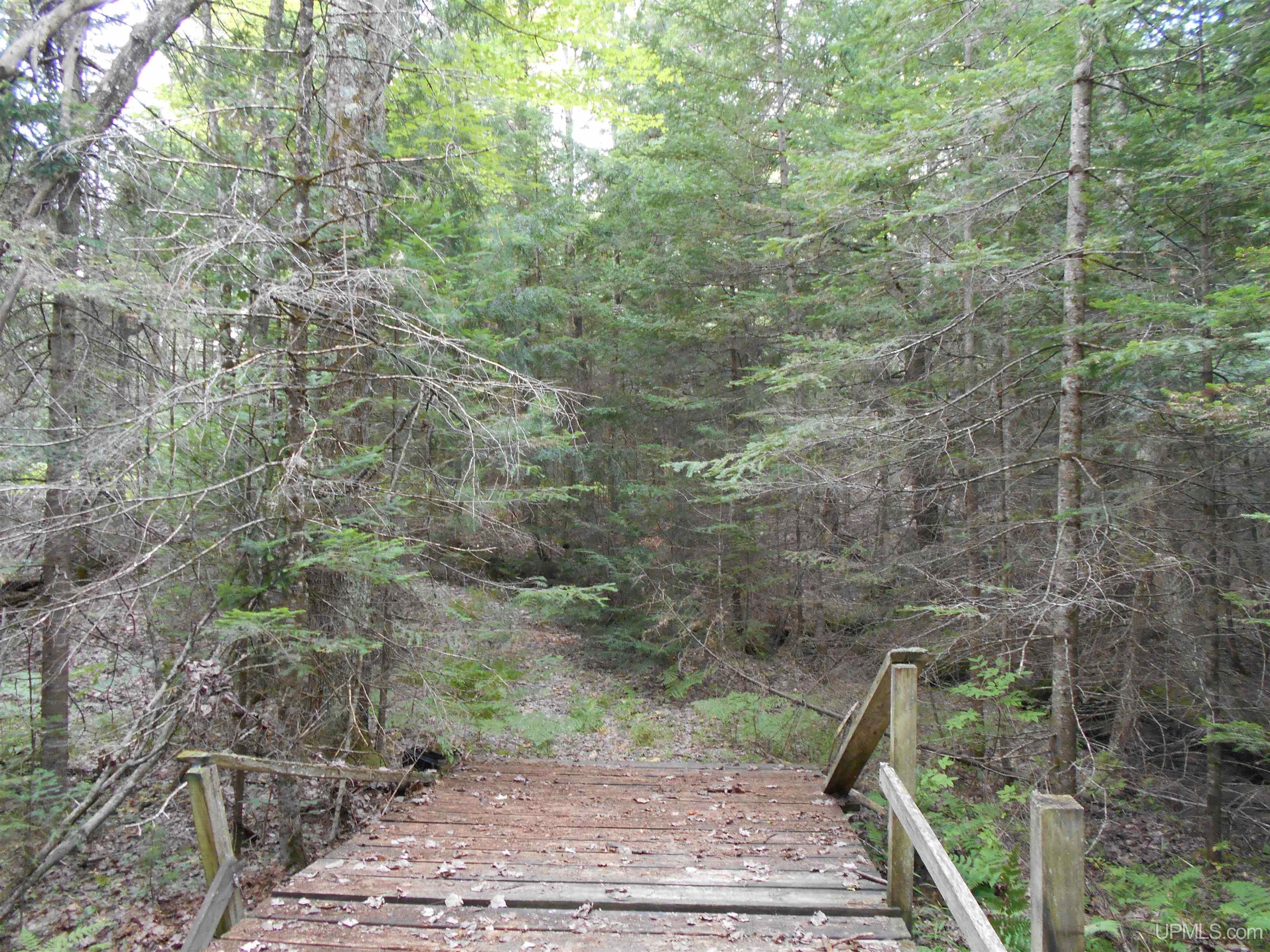 40-acres Garden Grade Road Garden, MI 49817 - Photo 42 of 51