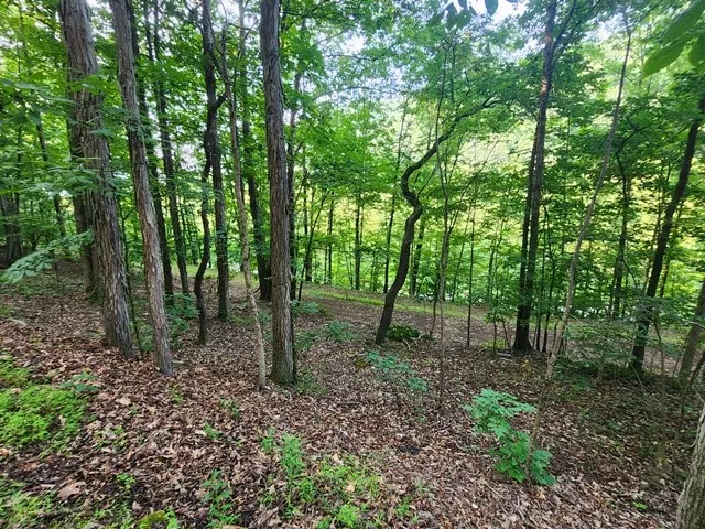 $85,000 | 1364 Rich Valley Road, Emporium, PA 15834