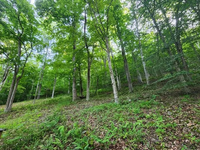 $85,000 | 1364 Rich Valley Road, Emporium, PA 15834