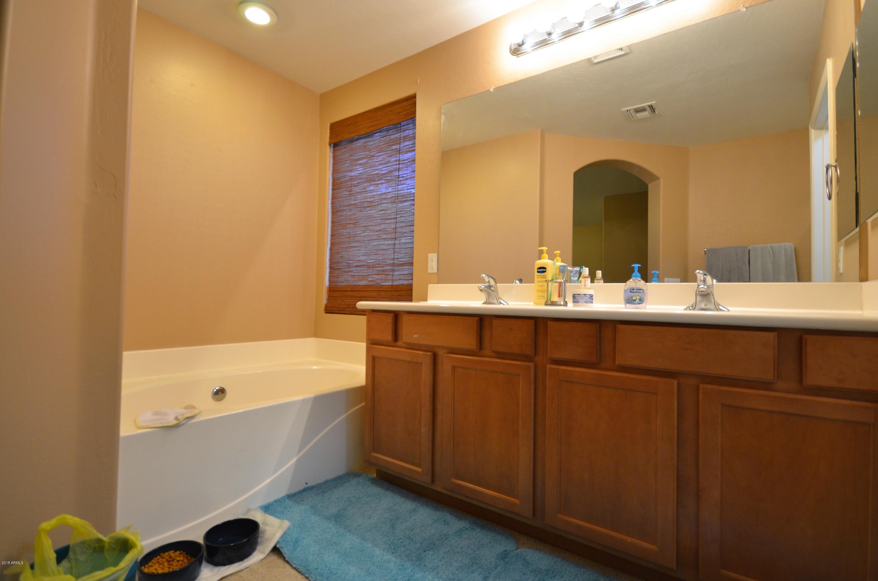 4330 East Dublin Street Gilbert, AZ 85295 - Photo 17 of 36 Master Bath
