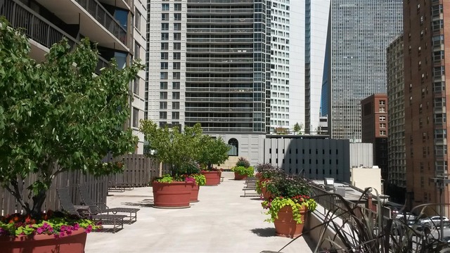 33 West Delaware Place, Unit 18D Chicago, IL 60610 - Photo 13 of 20
