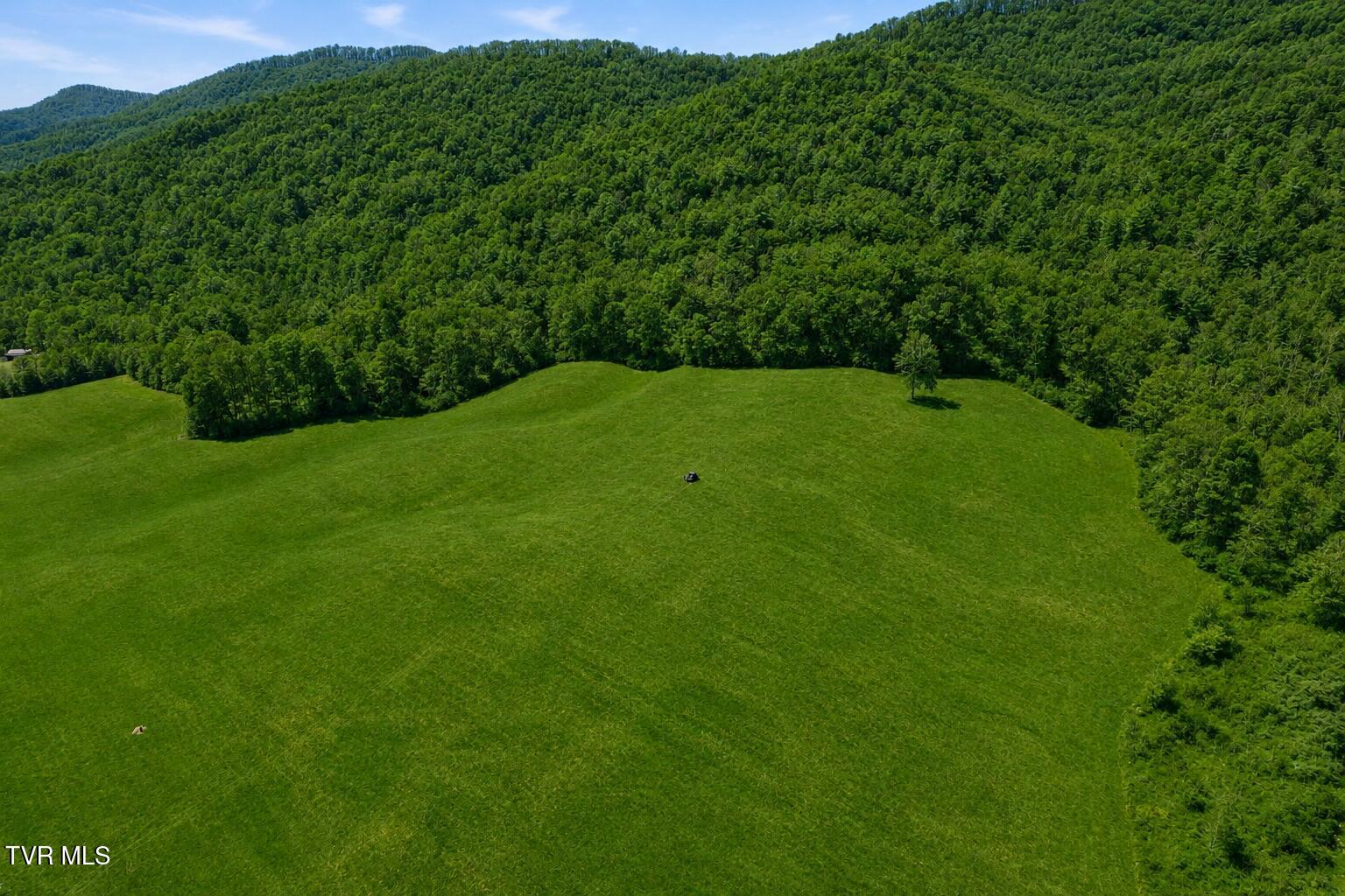 1a Rd Greeneville Tn 37743 Road Greeneville, TN 37743 - Photo 4 of 28 _Pic4 (2)