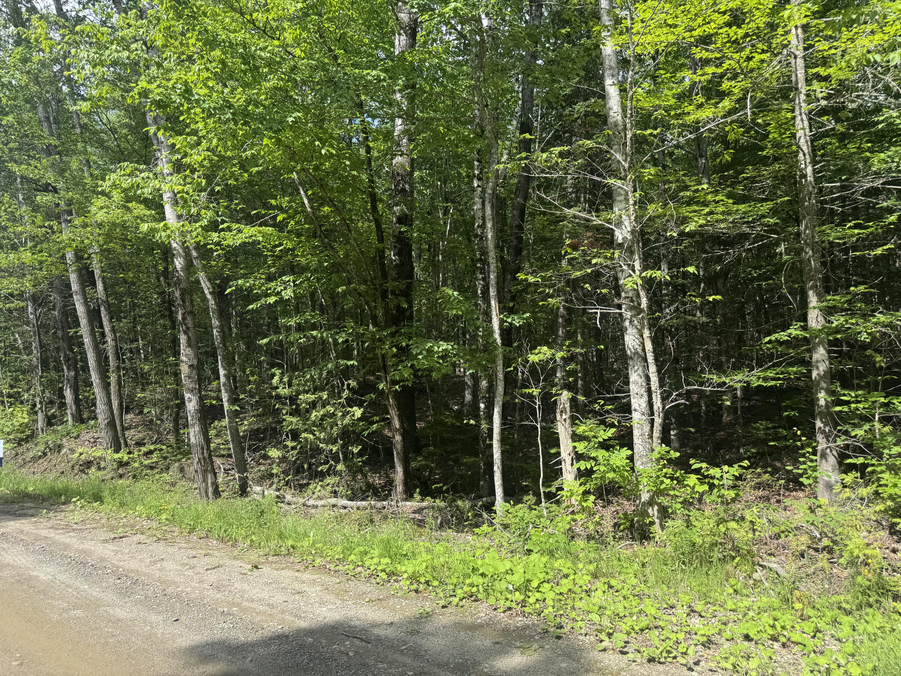 Lot 7 Curtis Farm Road Lincoln, ME 04457 - Photo 2 of 21