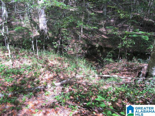 79 Highway 79, Unit 33 Cleveland, AL 35049 - Photo 25 of 32