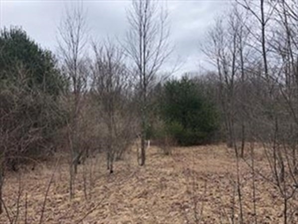 926 Old Turnpike Road Oakham, MA 01068 - Photo 1 of 5