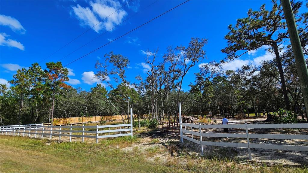 16266 Night Heron Road Weeki Wachee, FL 34614 - Photo 4 of 8