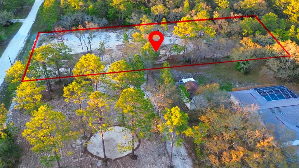 16266 Night Heron Road Weeki Wachee, FL 34614 - Photo 6 of 8