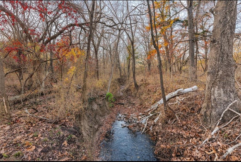 1704 South 155 Road El Dorado Springs, MO 64744 - Photo 11 of 67