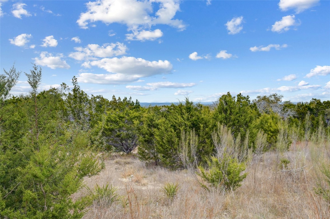 Tbd Sunset View Fischer, TX 78623 - Photo 2 of 8 a view of a yard with a tree