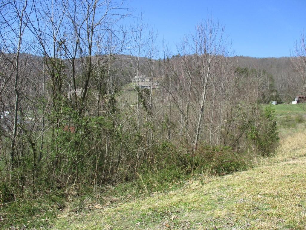 112 Zeb Grindstaff Road Elizabethton, TN 37643 - Photo 23 of 32 Photo 24