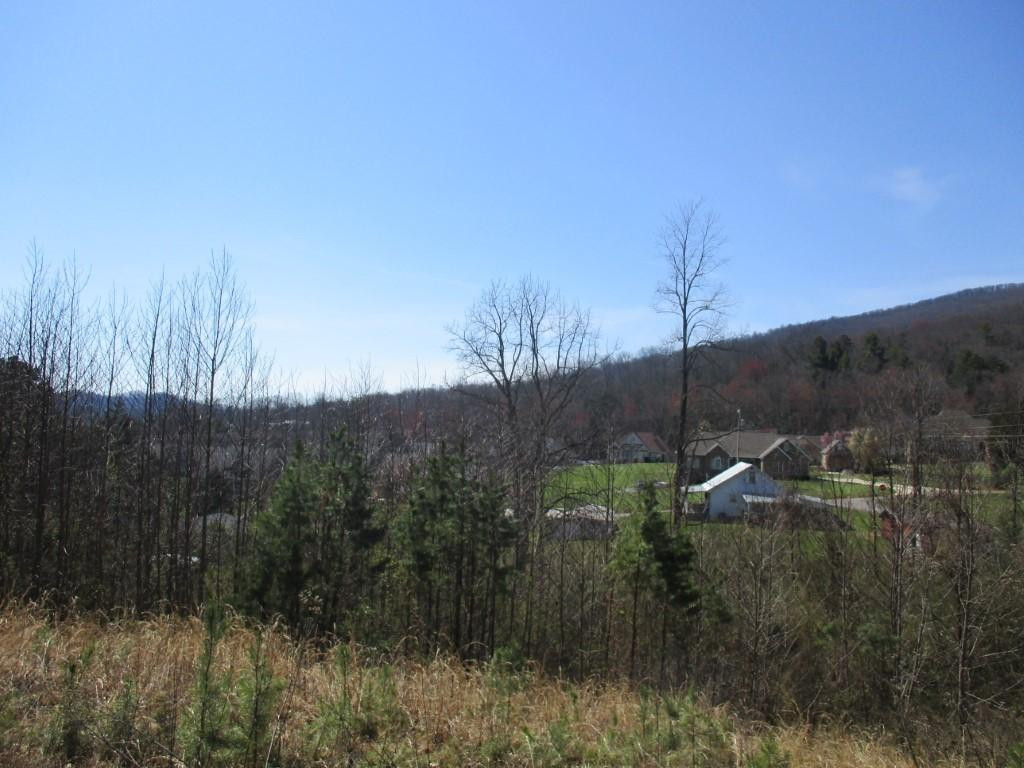 112 Zeb Grindstaff Road Elizabethton, TN 37643 - Photo 27 of 32 Photo 31