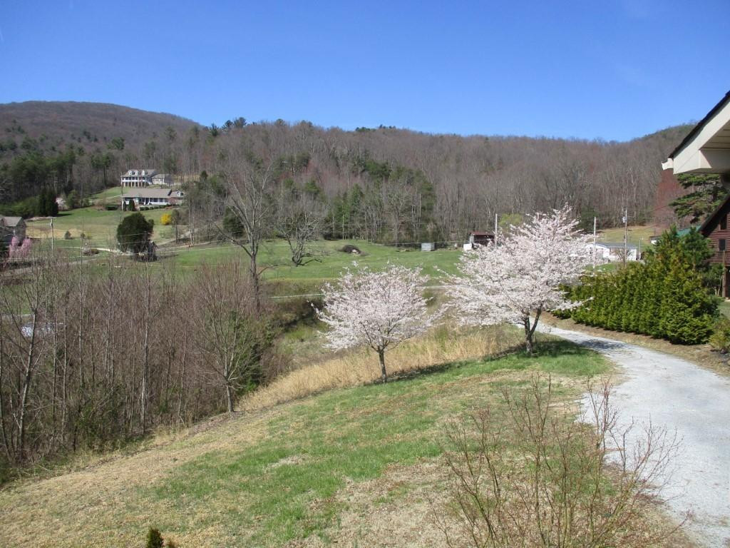 112 Zeb Grindstaff Road Elizabethton, TN 37643 - Photo 3 of 32 Photo 3