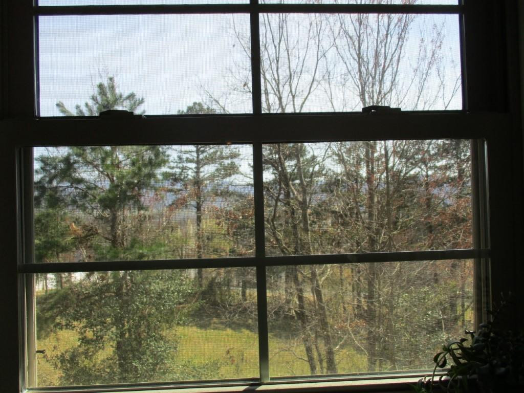 112 Zeb Grindstaff Road Elizabethton, TN 37643 - Photo 31 of 32 Photo 35