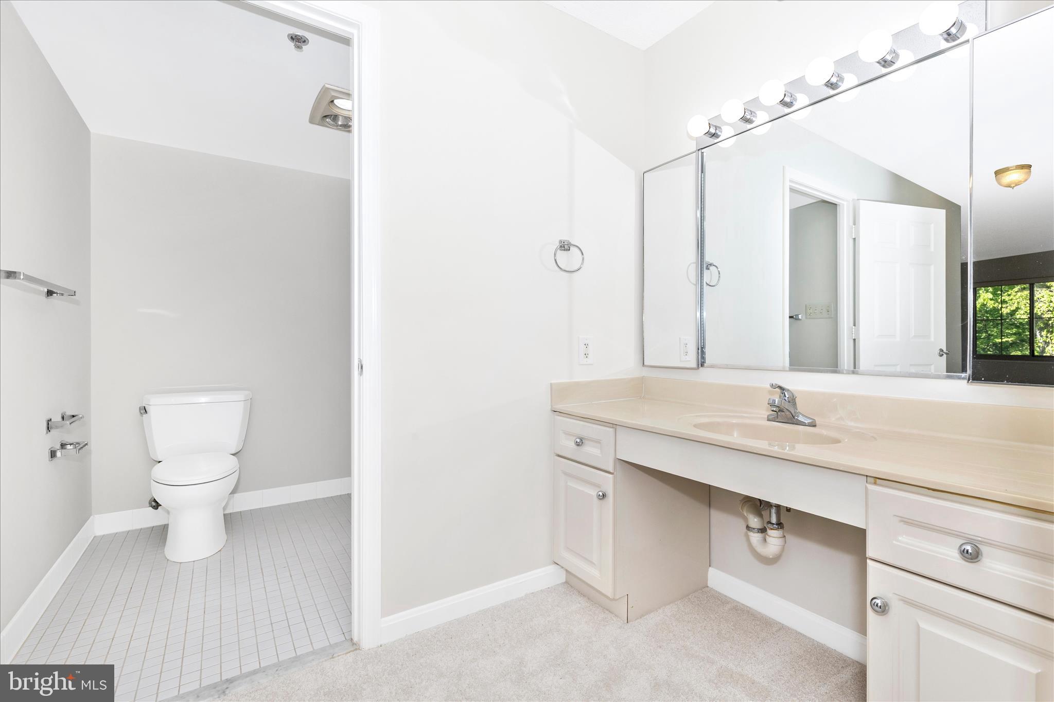 14809 Pennfield Circle, Unit 309 Silver Spring, MD 20906 - Photo 20 of 64 a bathroom with a granite countertop sink a toilet and a mirror