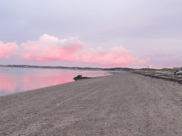 566 Shore Road, Unit 2 Truro, MA 02666 - Photo 16 of 16 fb96dd5e-bd08-4fda-96a6-2a404166d7bd.0