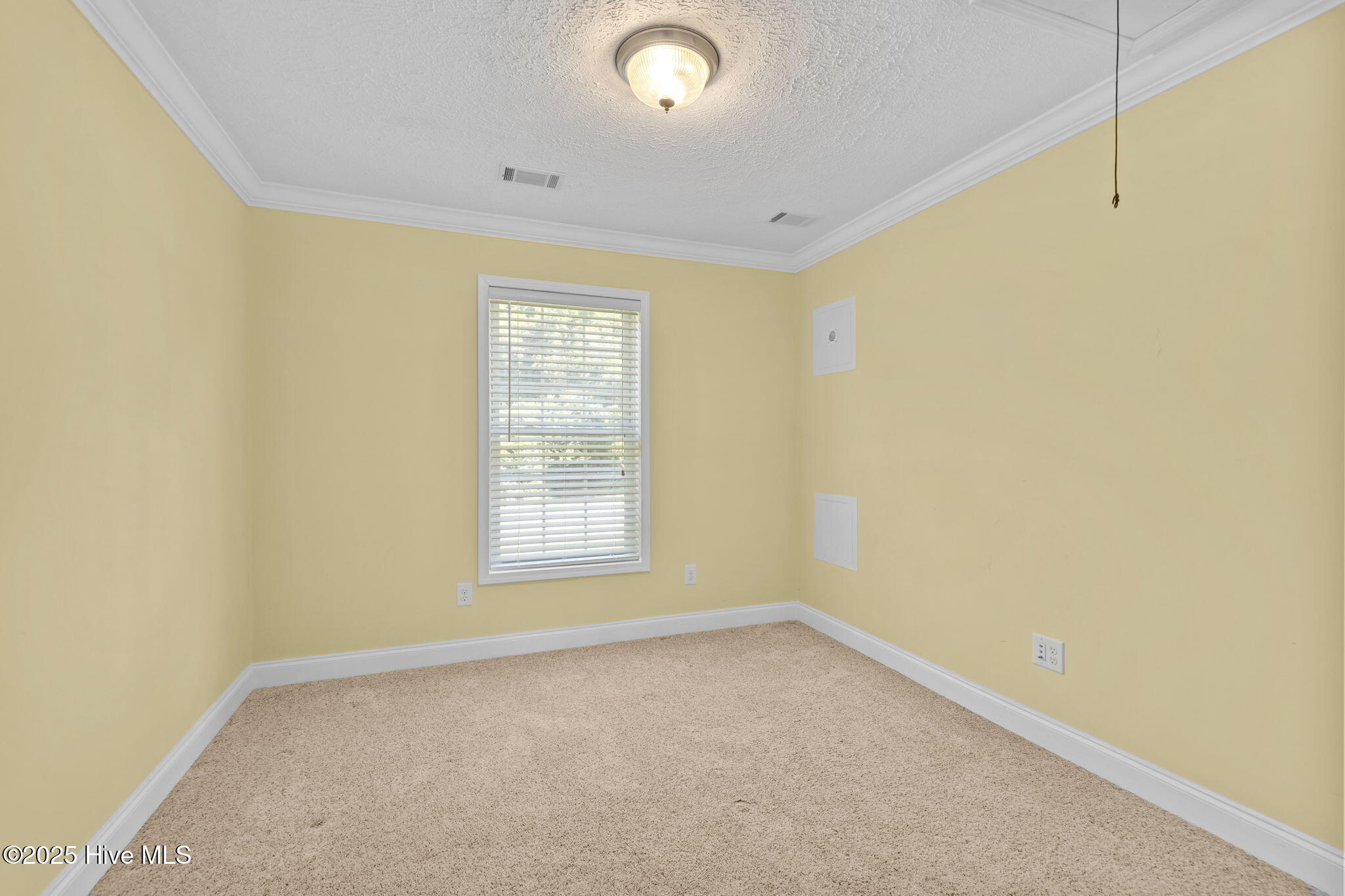 205 Ronnie Road Beaufort, NC 28516 - Photo 21 of 44 10-web-or-mls-1S3A6676