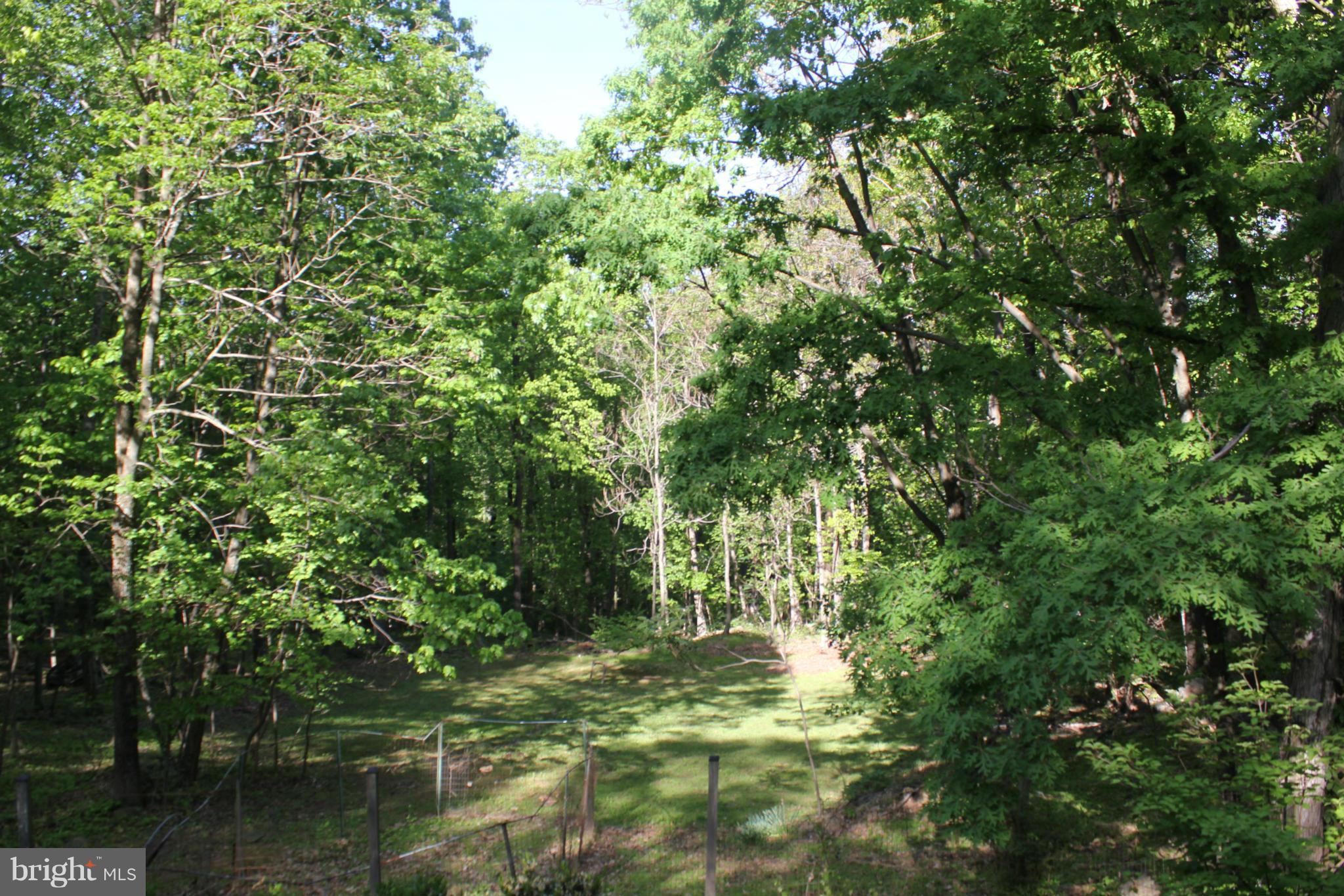 541 Luchase Road Linden, VA 22642 - Photo 22 of 26 View