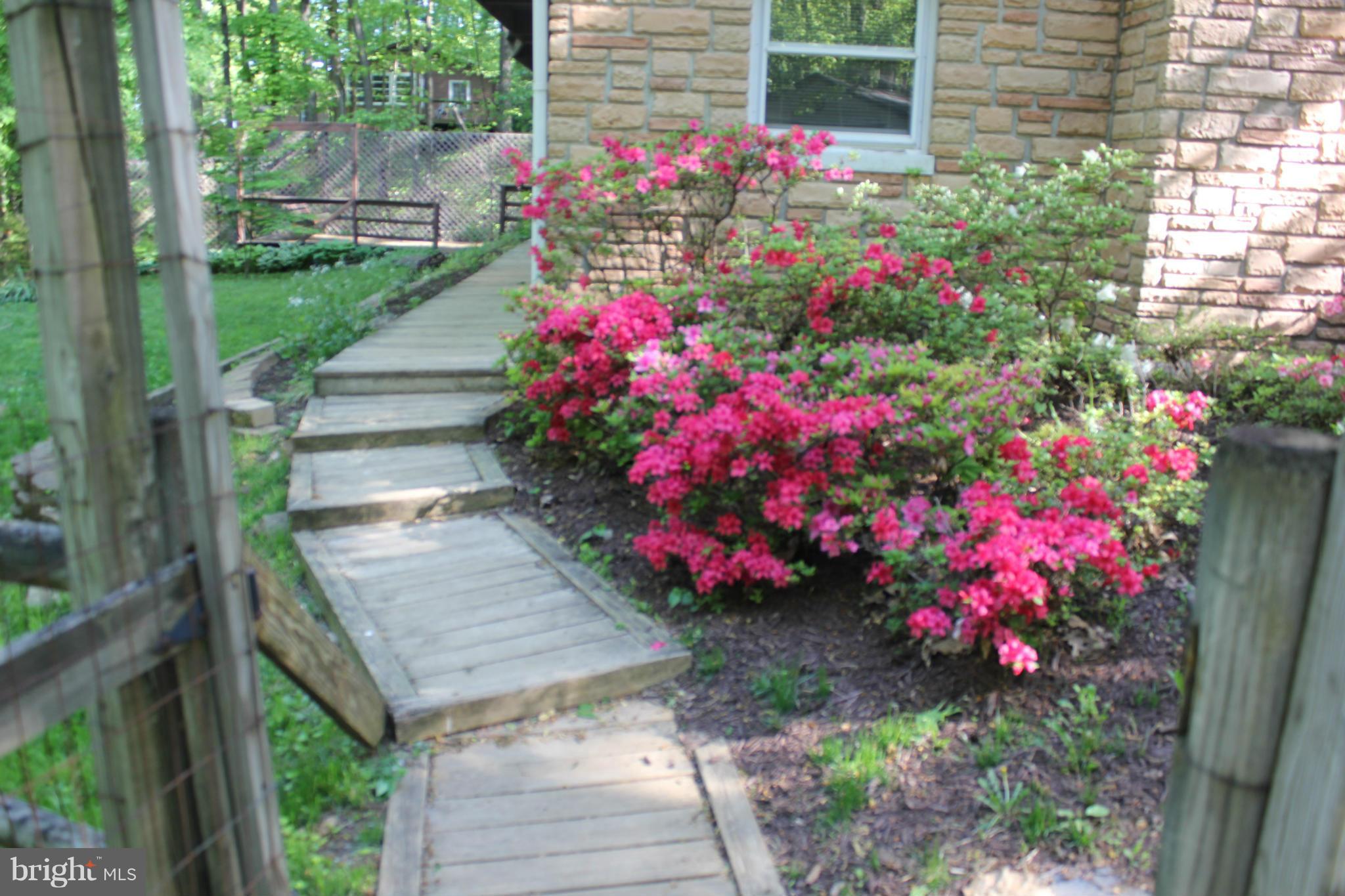 landscaping
