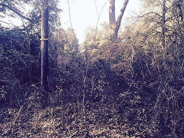 482 Robertson Road Pollock, LA 71467 - Photo 8 of 8 Gallery Image 8